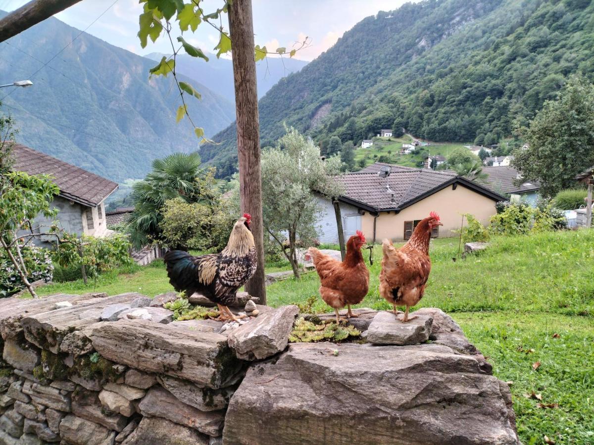 Bed and Breakfast Da Erminia Verdabbio Экстерьер фото